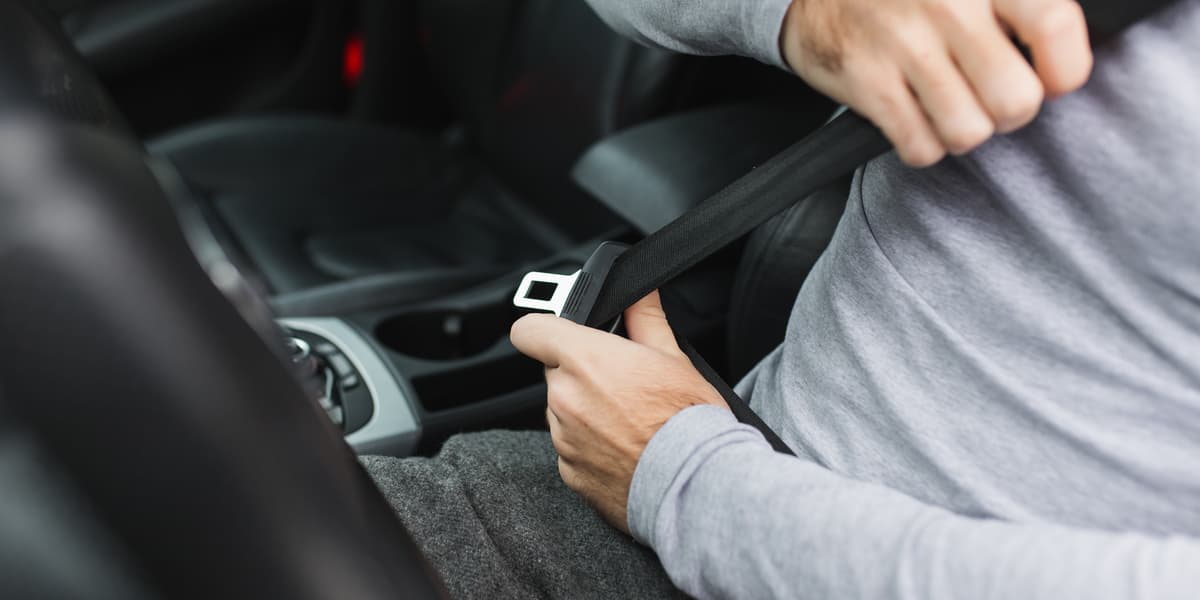 Cinture di sicurezza per tutti: la responsabilità è del conducente