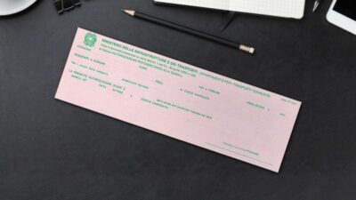 cosa-si-puo-fare-con-foglio-rosa