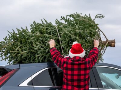 Come trasportare albero di Natale in auto
