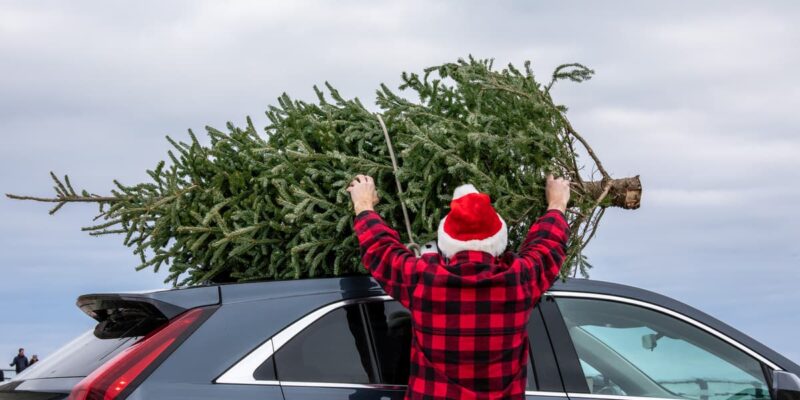 Come trasportare albero di Natale in auto