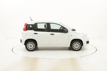 Fiat Panda Easy usata del 2020 con 3.180 km