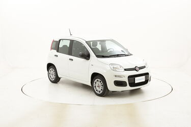Fiat Panda Easy usata del 2020 con 3.180 km