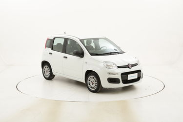 Fiat Panda Easy usata del 2015 con 39.491 km
