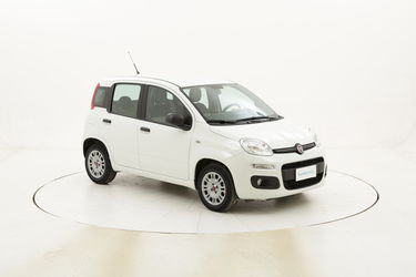 Fiat Panda Easy usata del 2016 con 23.247 km