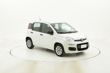 Fiat Panda usata del 2016 con 43.607 km