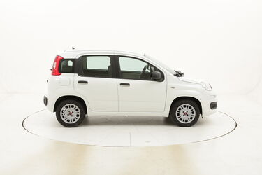 Fiat Panda Easy usata del 2016 con 15.720 km