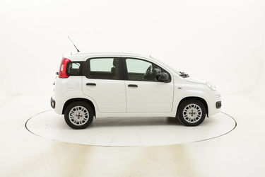 Fiat Panda Easy usata del 2015 con 22.850 km