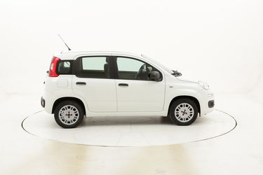 Fiat Panda Easy usata del 2016 con 36.607 km