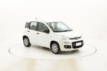 Fiat Panda Easy usata del 2016 con 36.607 km