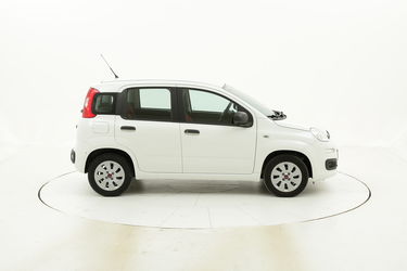 Fiat Panda usata del 2016 con 30.262 km