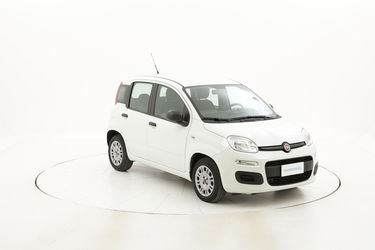 Fiat Panda usata del 2016 con 38.695 km