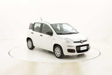 Fiat Panda Easy usata del 2015 con 45.561 km