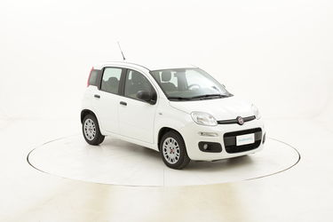 Fiat Panda Easy usata del 2016 con 55.408 km