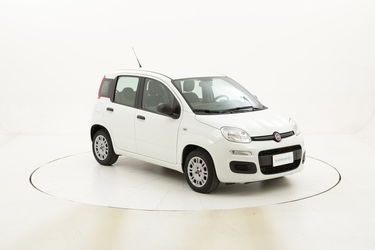 Fiat Panda Easy usata del 2015 con 36.385 km