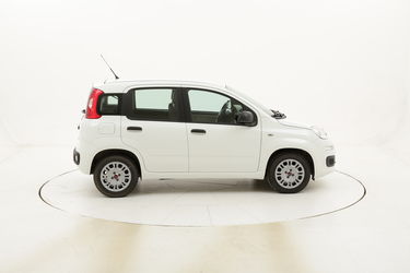 Fiat Panda Easy usata del 2016 con 25.790 km
