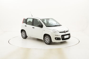 Fiat Panda Easy usata del 2016 con 25.790 km