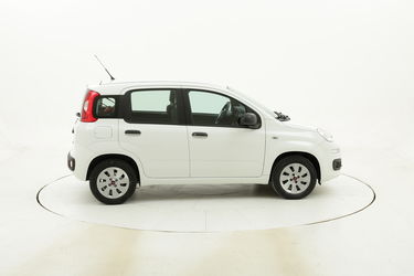 Fiat Panda usata del 2016 con 52.976 km