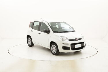 Fiat Panda Easy usata del 2016 con 18.166 km