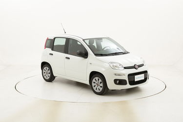 Fiat Panda Pop usata del 2016 con 36.189 km
