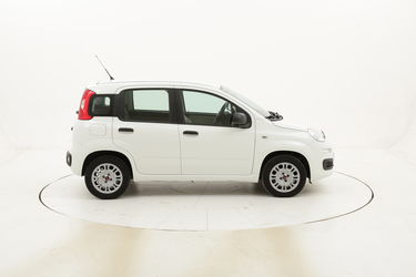 Fiat Panda Easy usata del 2016 con 25.256 km