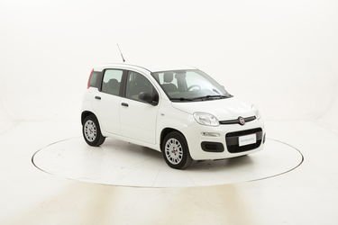 Fiat Panda Easy usata del 2016 con 25.256 km