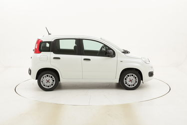 Fiat Panda Easy km 0 benzina bianca