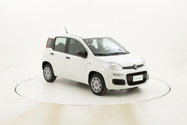 Fiat Panda Easy km 0 benzina bianca