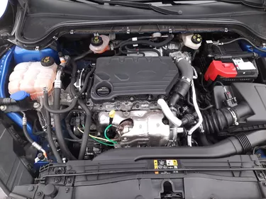 Ford Focus ST-Line Co-Pilot 1.5 Diesel 120CV Automatico Vano motore