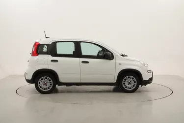 Fiat Panda Hybrid 1.0 Mild Hybrid 70CV Manuale Fiat Panda Hybrid 1.0 Mild Hybrid 70CV Manuale