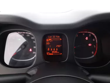 Fiat Panda Hybrid Cross 1.0 Mild Hybrid 69CV Manuale Interni