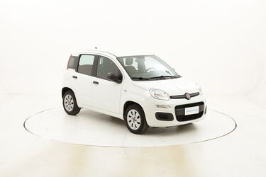 Fiat Panda Pop usata del 2016 con 54.939 km