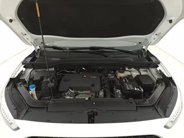 MG ZS Luxury 1.0 Benzina 111CV Manuale Vano motore