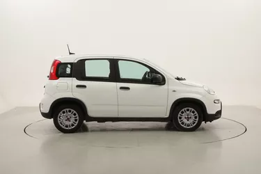 Fiat Panda Hybrid 1.0 Mild Hybrid 70CV Manuale