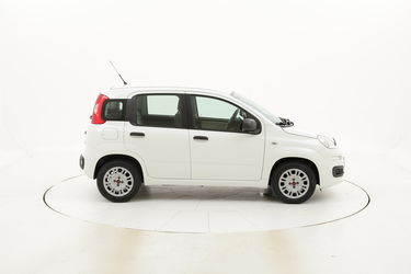 Fiat Panda Pop usata del 2014 con 55.715 km