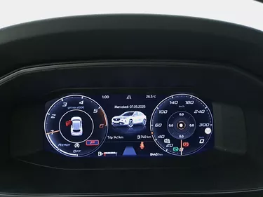 Cupra Formentor 2.0 TDI DSG 2.0 Diesel 150CV Automatico Interni