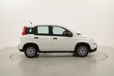 Fiat Panda Hybrid 1.0 Mild Hybrid 70CV Manuale