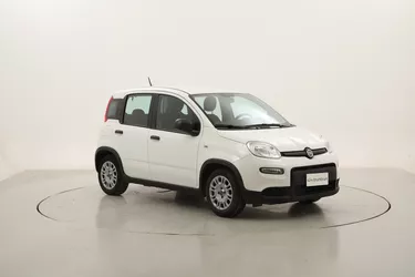 Fiat Panda Hybrid 1.0 Mild Hybrid 70CV Manuale