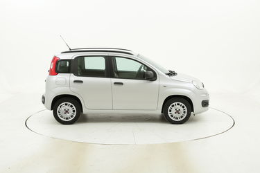 Fiat Panda usata del 2015 con 35.811 km