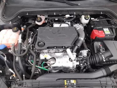 Ford Focus SW Business 1.5 Diesel 120CV Manuale Vano motore