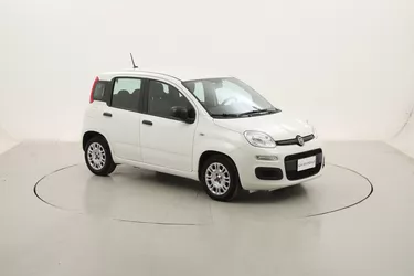 Fiat Panda Hybrid 1.0 Mild Hybrid 70CV Manuale