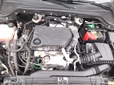 Ford Focus SW Business Co-Pilot 1.5 Diesel 120CV Automatico Vano motore