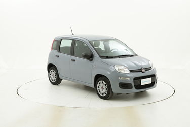 Fiat Panda usata del 2020 con 4.299 km