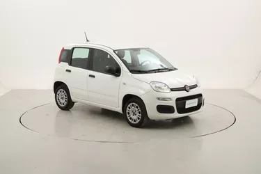 Fiat Panda Easy 1.2 Benzina 69CV Manuale