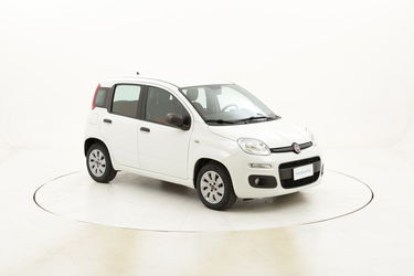 Fiat Panda Pop usata del 2014 con 55.717 km