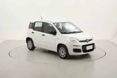 Fiat Panda Easy 1.2 GPL 69CV Manuale