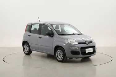 Fiat Panda Easy 1.2 Benzina 69CV Manuale