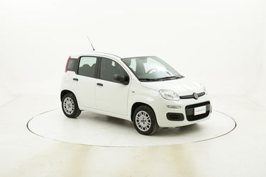 Fiat Panda Easy usata del 2019 con 15.431 km