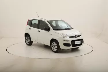 Fiat panda 169 su Usato.Quattroruote