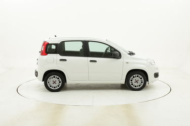 Fiat Panda Easy usata del 2017 con 35.220 km