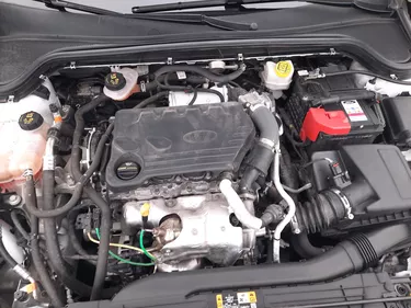 Ford Focus SW Business 1.5 Diesel 120CV Manuale Vano motore